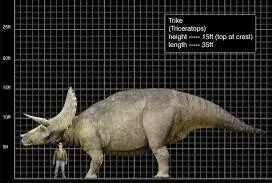 Triceratops (JP3)