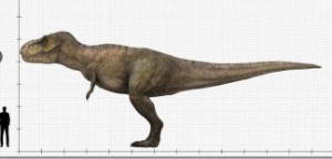 Tyrannosaurus (JWD)