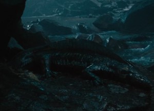 Unknown Amphibian