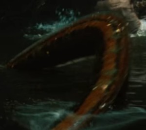 Unknown Eel