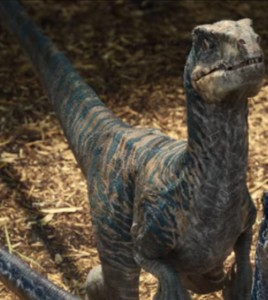 Velociraptor "Echo" (Jurassic World)