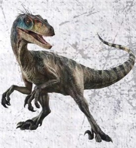 Velociraptor (JWR)