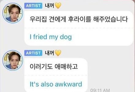 I fried my dog / its also awkward