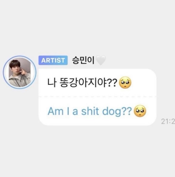Am I a shit dog??