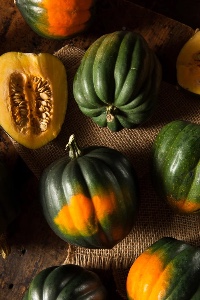 Acorn Squash