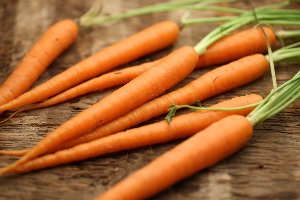 Carrot