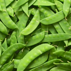 Snow Peas
