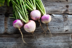 Turnip