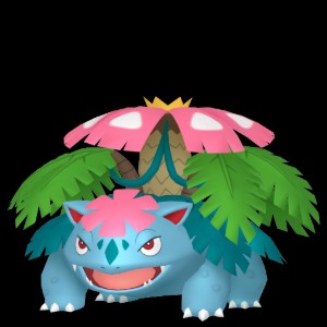 Mega Florizarre