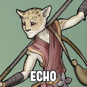 Echo