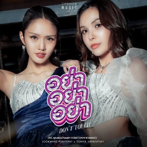Don't Touch (Hometown Romances)