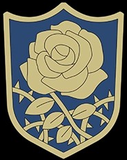Blue Rose