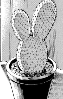 Choki