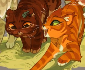 Alder&Spark
