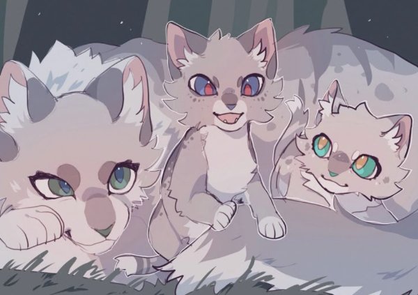 Ash&Fern