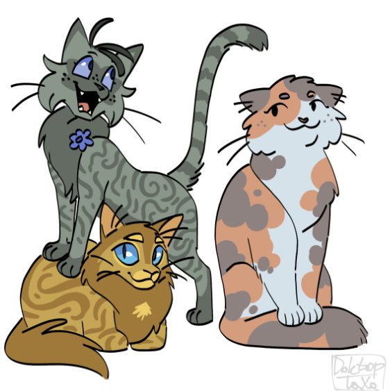 Cinder&Poppy&Honey