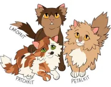 Patch&Petal&Larch