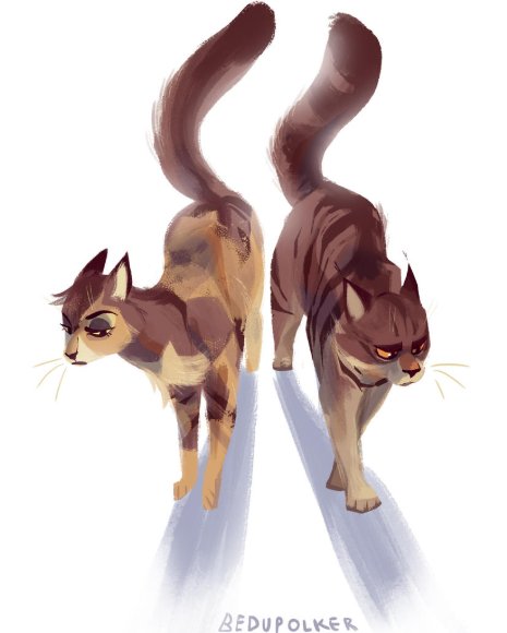 Tawny&Bramble
