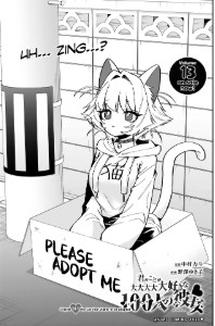 141 - The Cat That Wants to be Adopted
