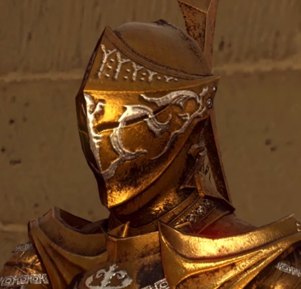 Darkmoon Knightess