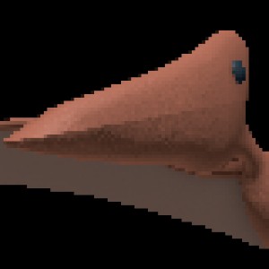 Pterosaur