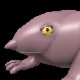 Purple Frog