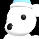 Snory Bear