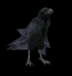 Granny's Crow