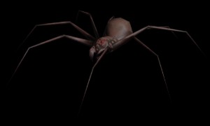 Granny's Spider