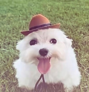 BABY