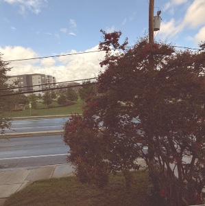 SUMMERS ENDING