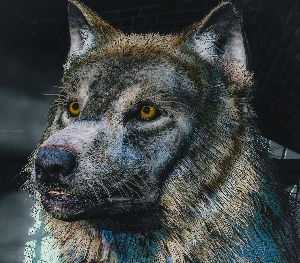 Wolfie