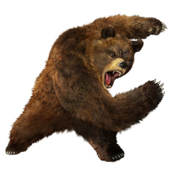 KUMA