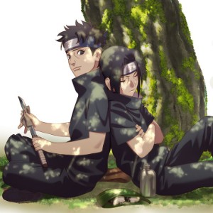shiita