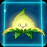 Enlighten-mint