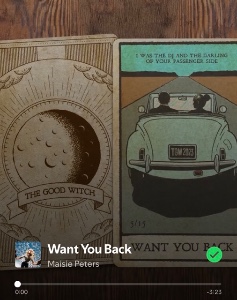 Want You Back
