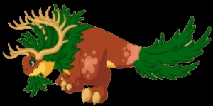 Conifer