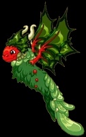 Holly