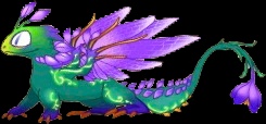 Kroki