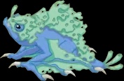 Lichen