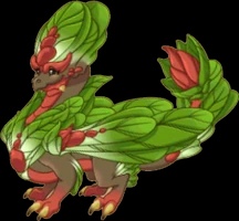 Rosebud