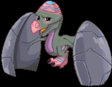 Stoneshell
