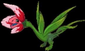 Tulip