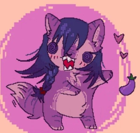 jeff the fucking cat