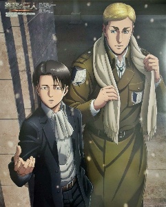 erwin x levi
