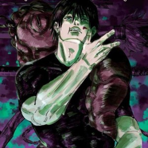 Toji Fushiguro - Jujutsu Kaisen