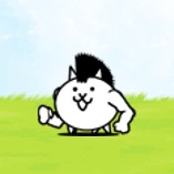 Mohawk Cat