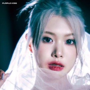 swan (purple kiss)