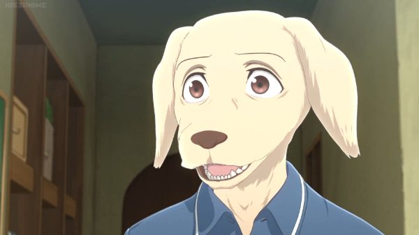 Jack - Beastars (May 3rd)
