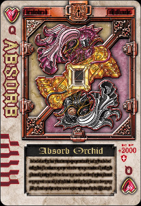 Orchid